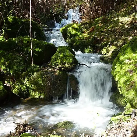 La Condesa Apartman *