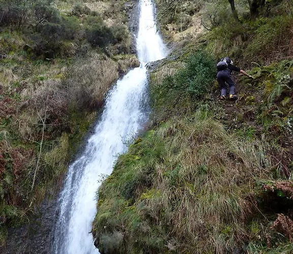 Apartment La Condesa *