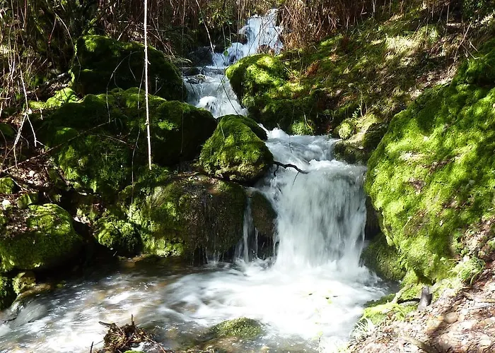 La Condesa Apartment *