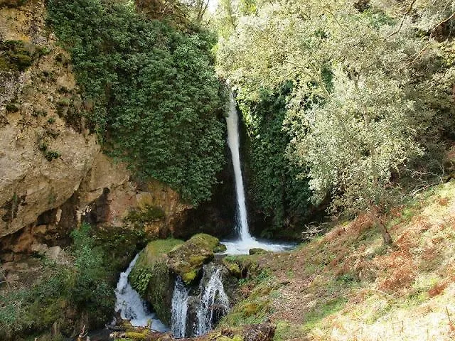 Apartment La Condesa