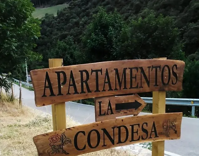 Apartment La Condesa