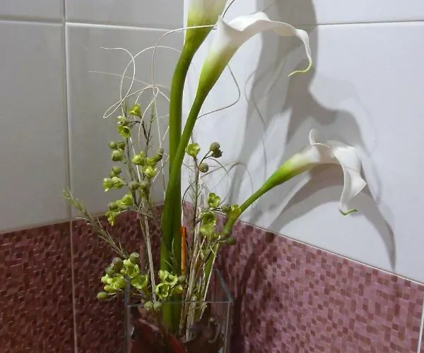 La Condesa Apartment